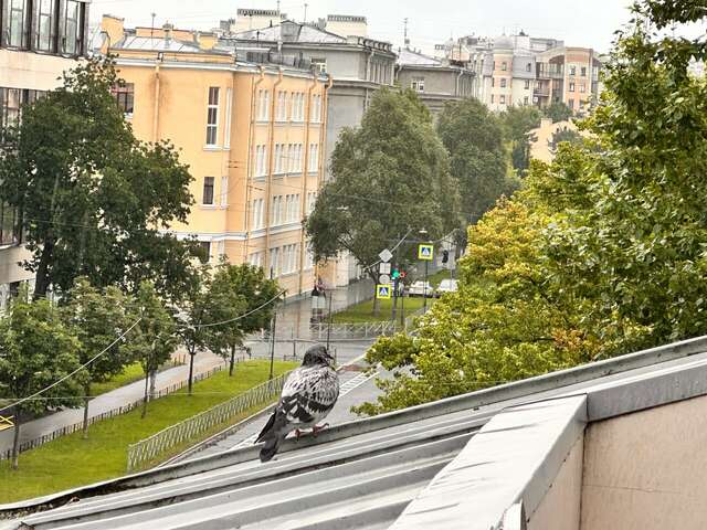 Гостиница Алфавит Санкт-Петербург-188